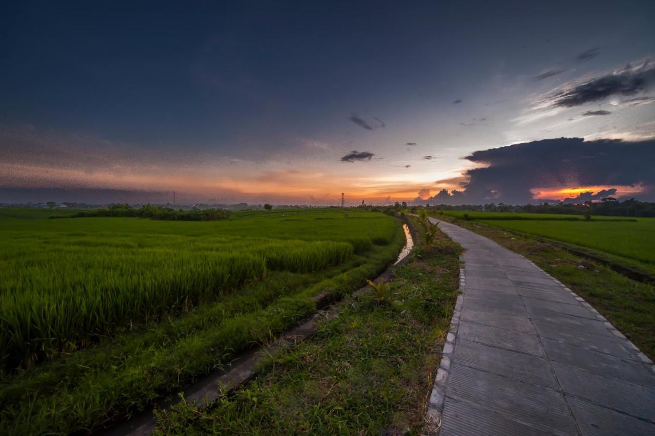 The Lebak Canggu 外观 照片